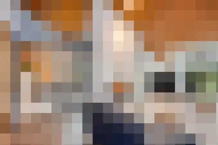 Slotsdijk 5 Denekamp thumbnail 10