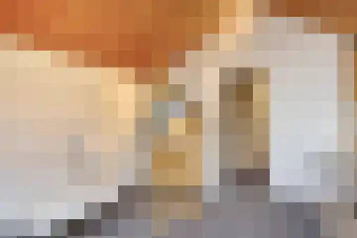 Slotsdijk 5 Denekamp thumbnail 32