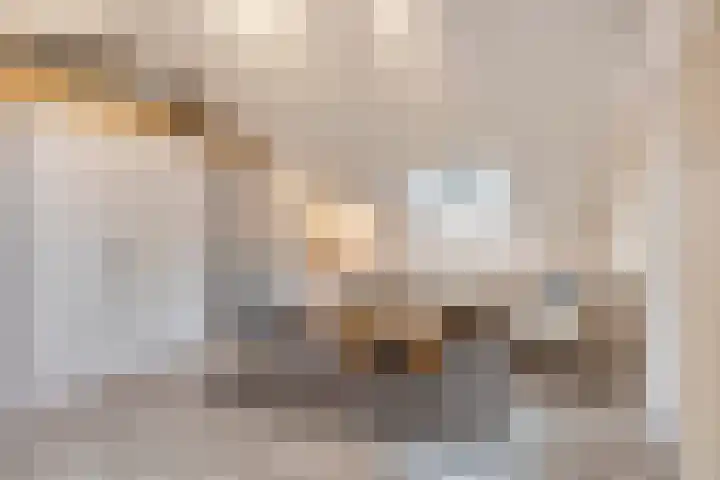 Slotsdijk 5 Denekamp thumbnail 34