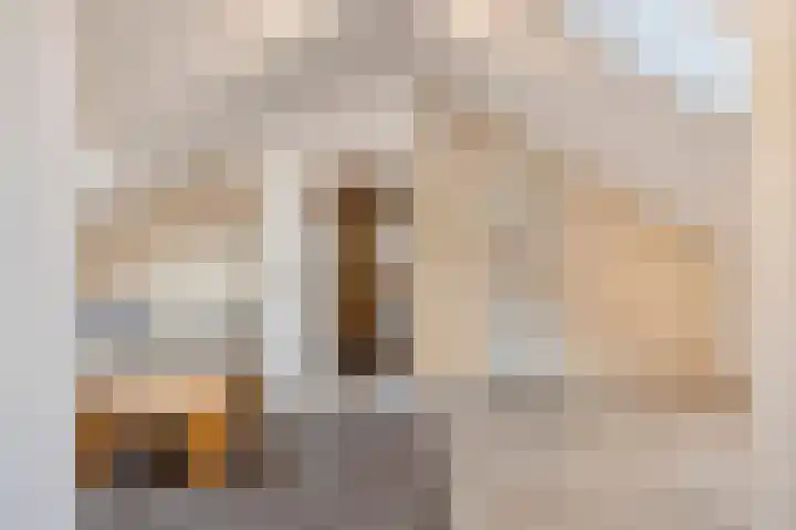 Slotsdijk 5 Denekamp thumbnail 35