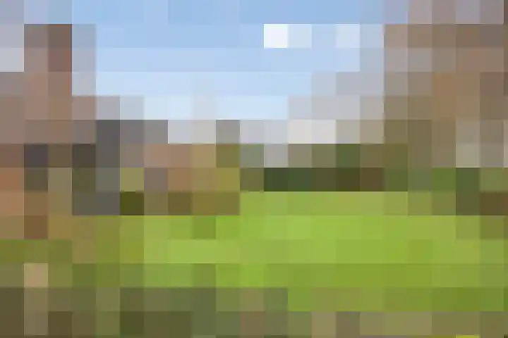 Slotsdijk 5 Denekamp thumbnail 46
