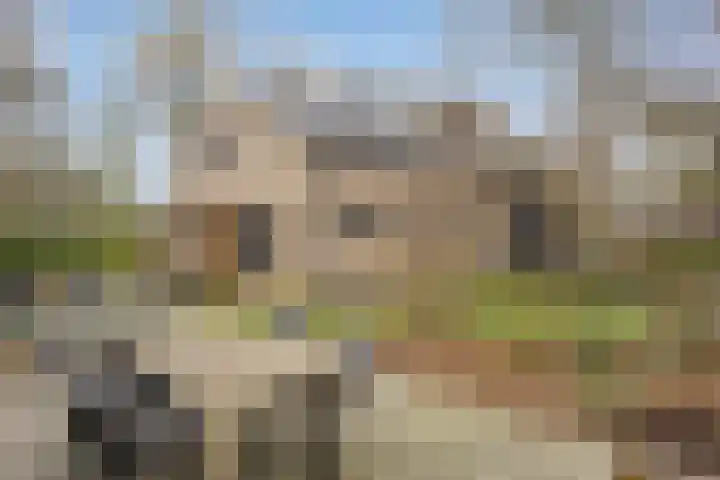 Slotsdijk 5 Denekamp thumbnail 48