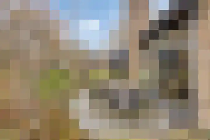 Slotsdijk 5 Denekamp thumbnail 50