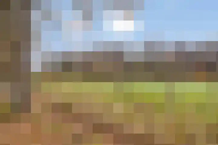 Slotsdijk 5 Denekamp thumbnail 54
