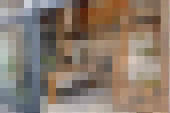 Slotsdijk 5 Denekamp thumbnail 7