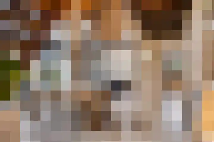 Slotsdijk 5 Denekamp thumbnail 9