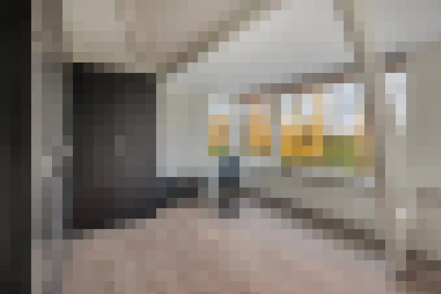 Slotsedijk 147 Rhoon thumbnail 24