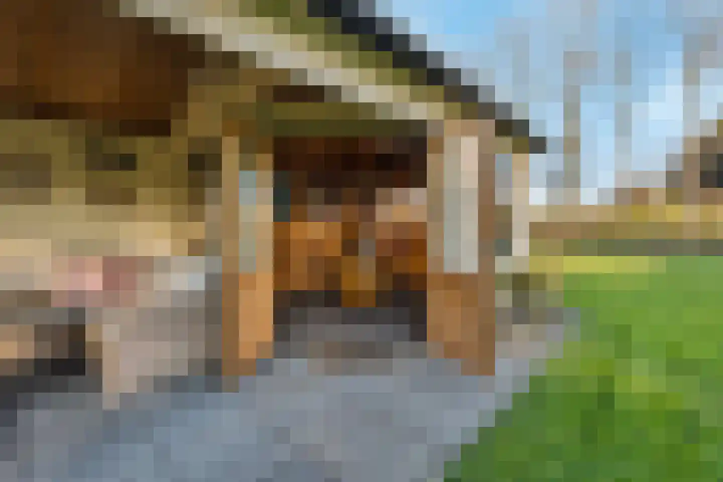 Slotsedijk 147 Rhoon thumbnail 48