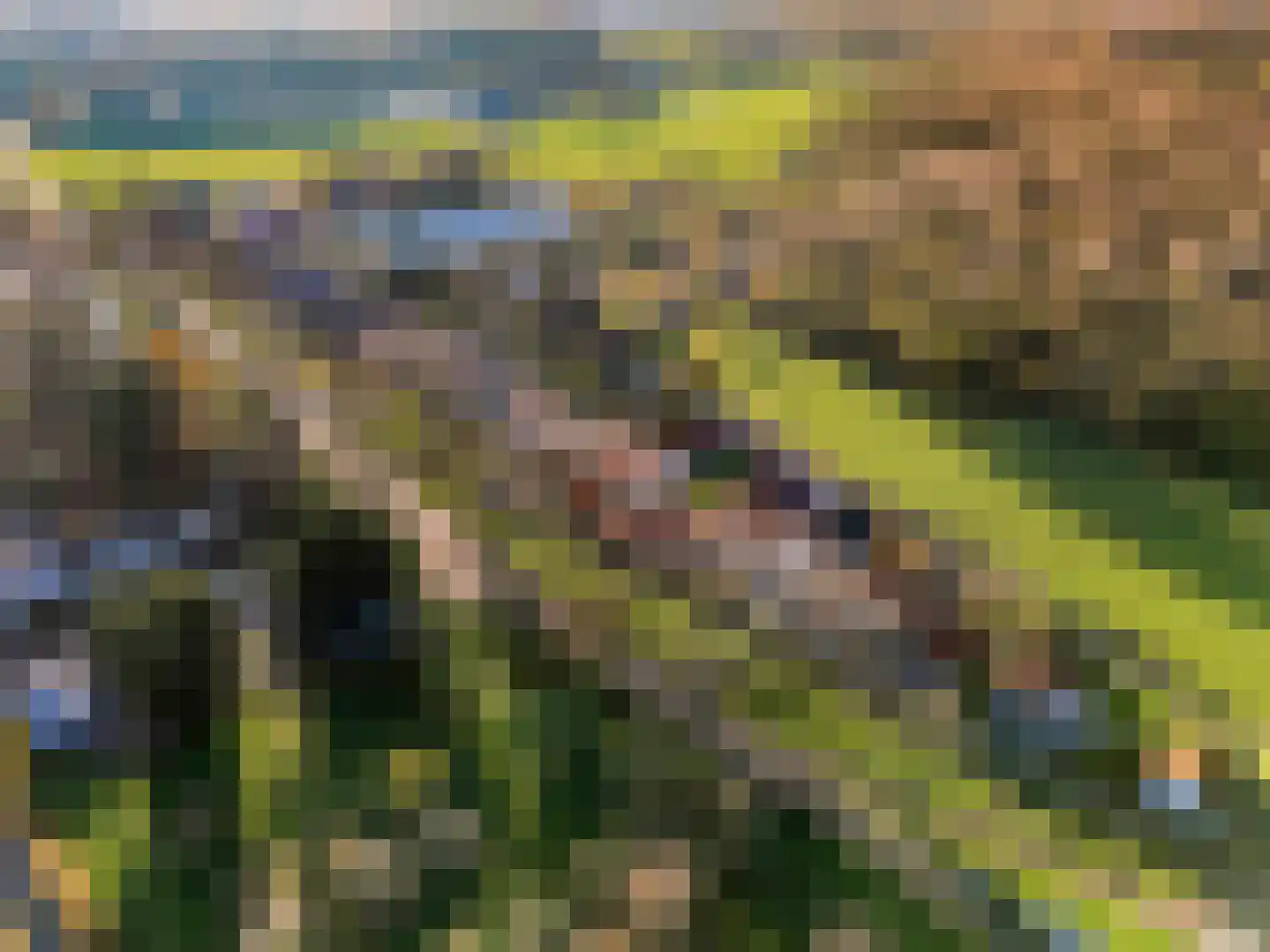 Slotsedijk 147 Rhoon thumbnail 58