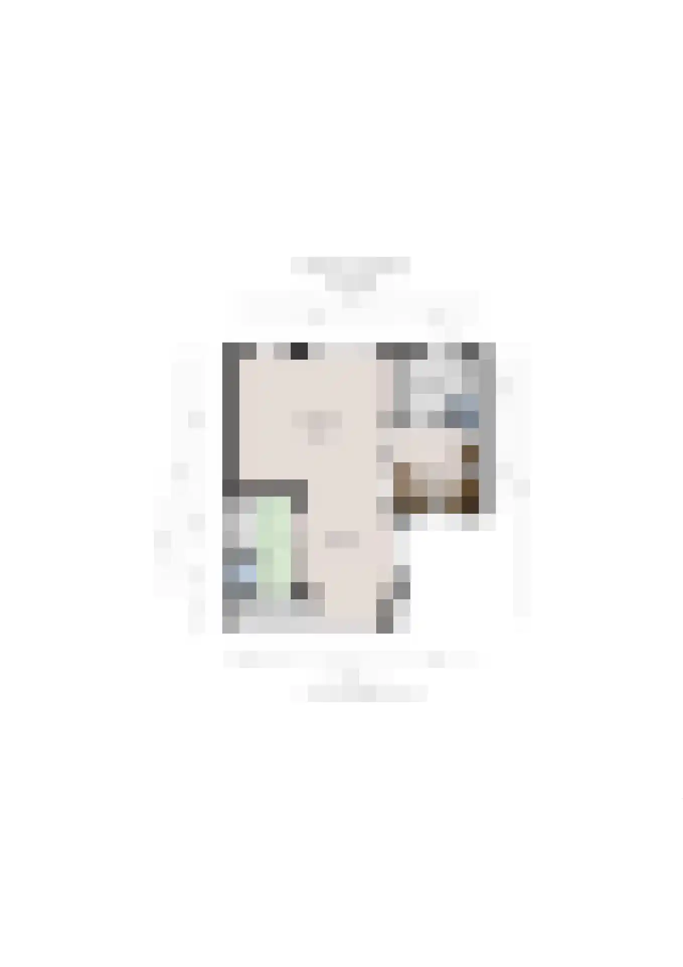 Slotsestraat 20 's-Hertogenbosch thumbnail 43