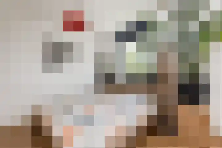 Slotshof 3 Gameren thumbnail 17