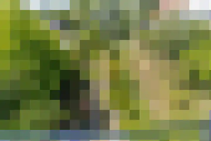 Slotshof 3 Gameren thumbnail 29