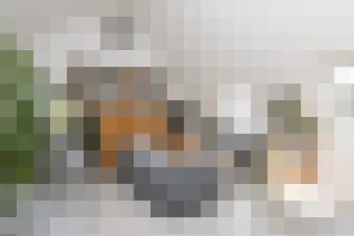 Slotshof 3 Gameren thumbnail 31