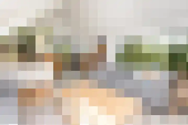 Slotshof 3 Gameren thumbnail 34