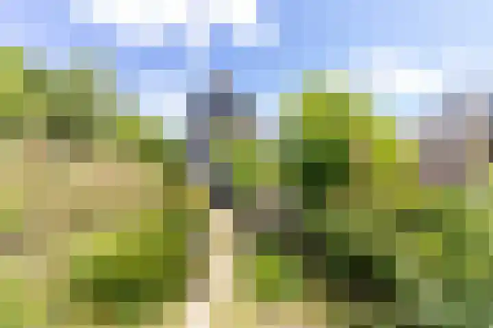Slotshof 3 Gameren thumbnail 4