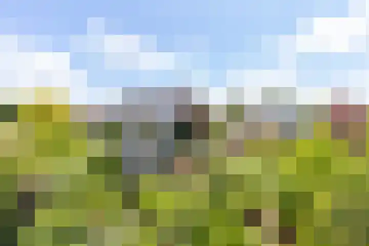 Slotshof 3 Gameren thumbnail 40