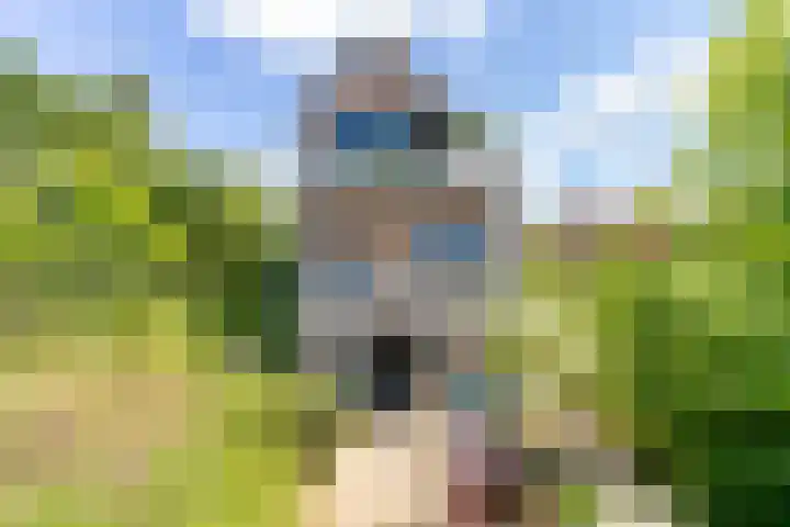 Slotshof 3 Gameren thumbnail 5