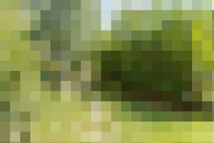Slotshof 3 Gameren thumbnail 7
