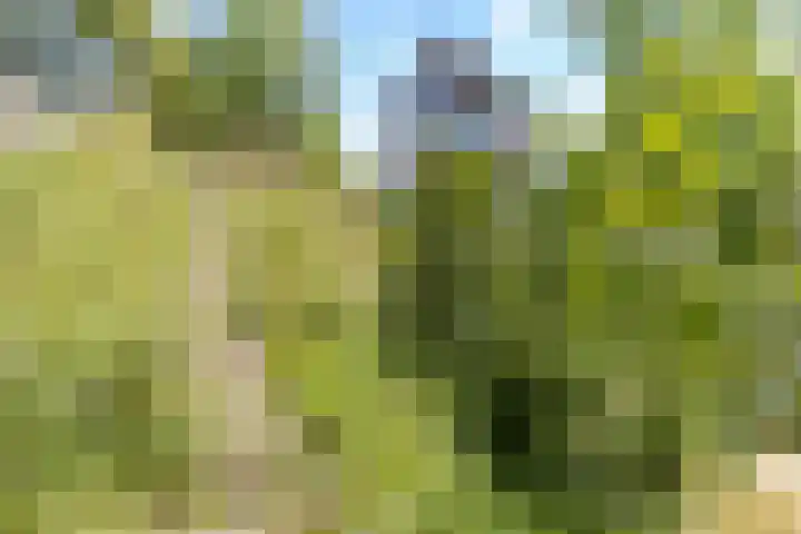 Slotshof 3 Gameren thumbnail 8