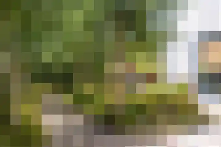 Slotshof 3 Gameren thumbnail 9