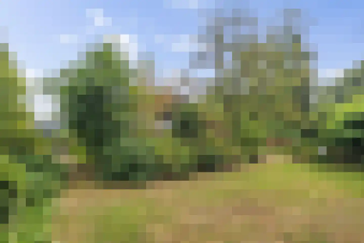 Slotstee 9 Emmen thumbnail 37