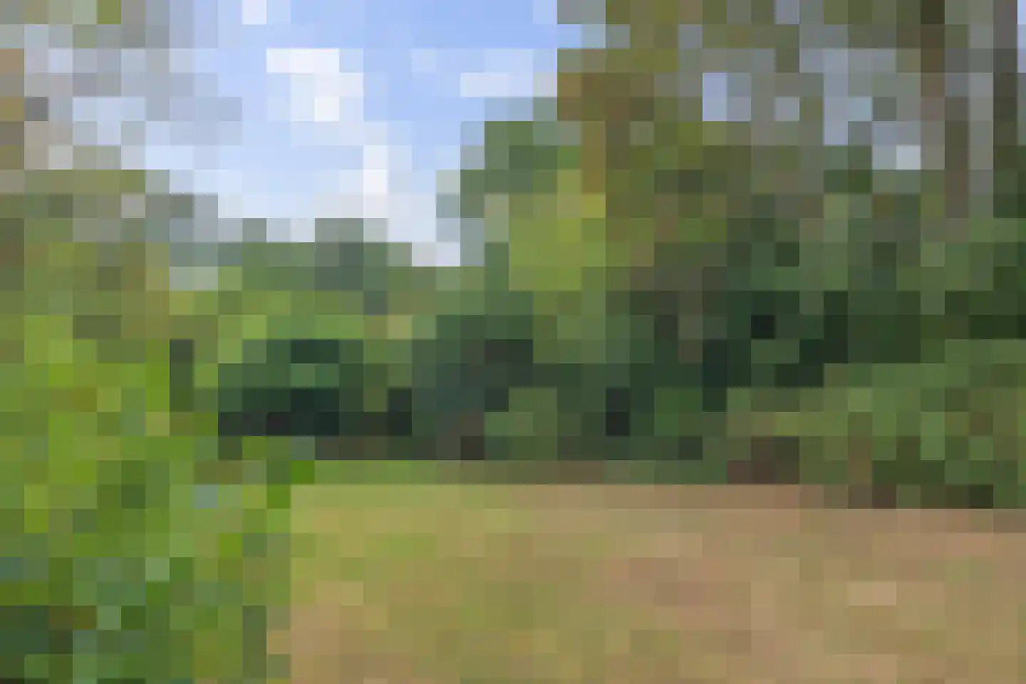Slotstee 9 Emmen thumbnail 39