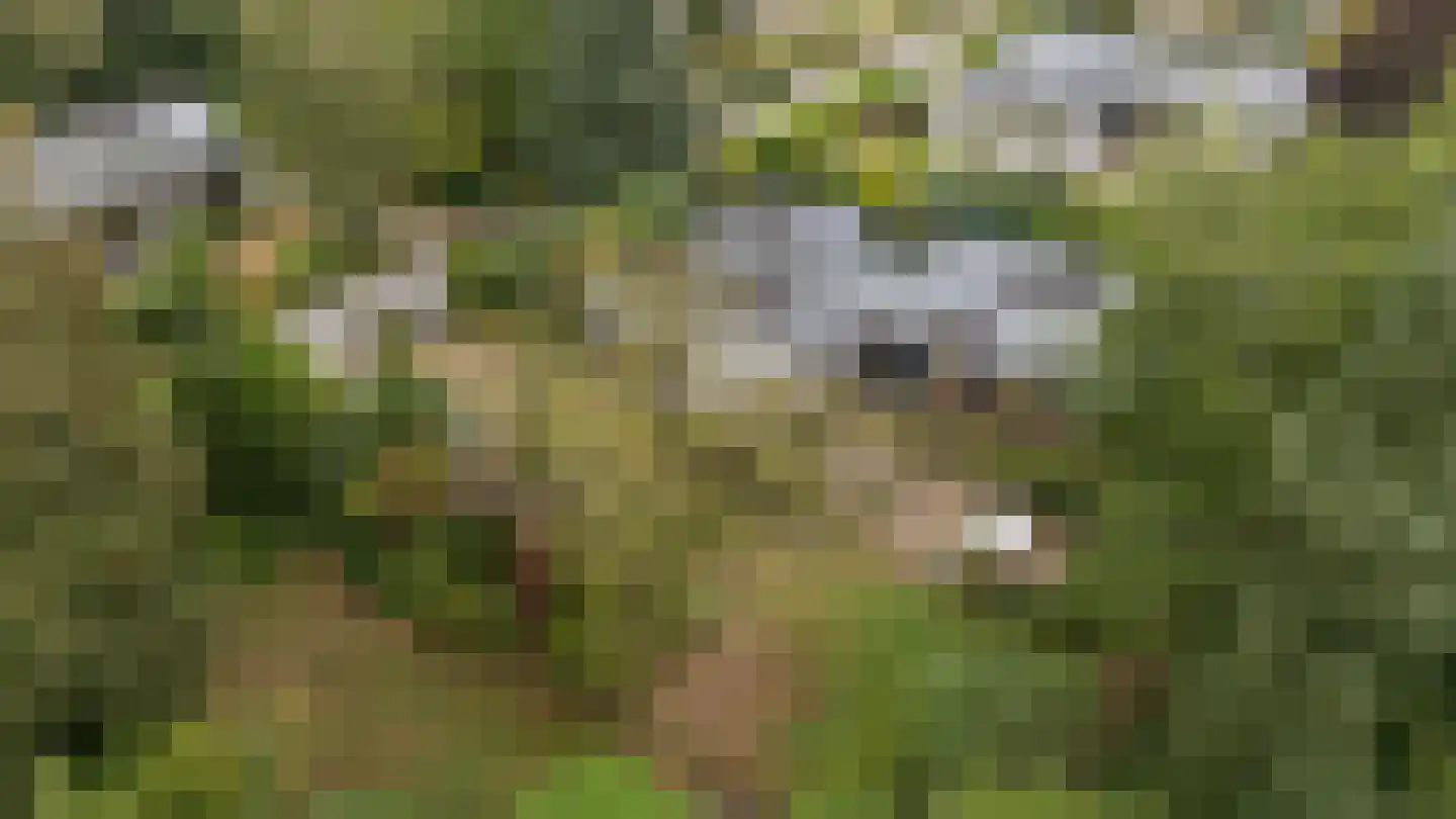 Slotstee 9 Emmen thumbnail 4