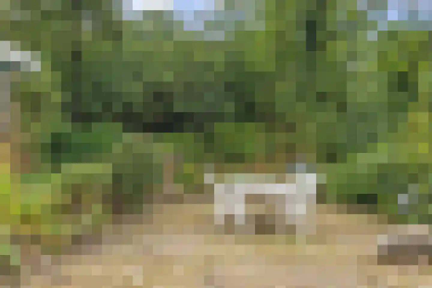 Slotstee 9 Emmen thumbnail 47