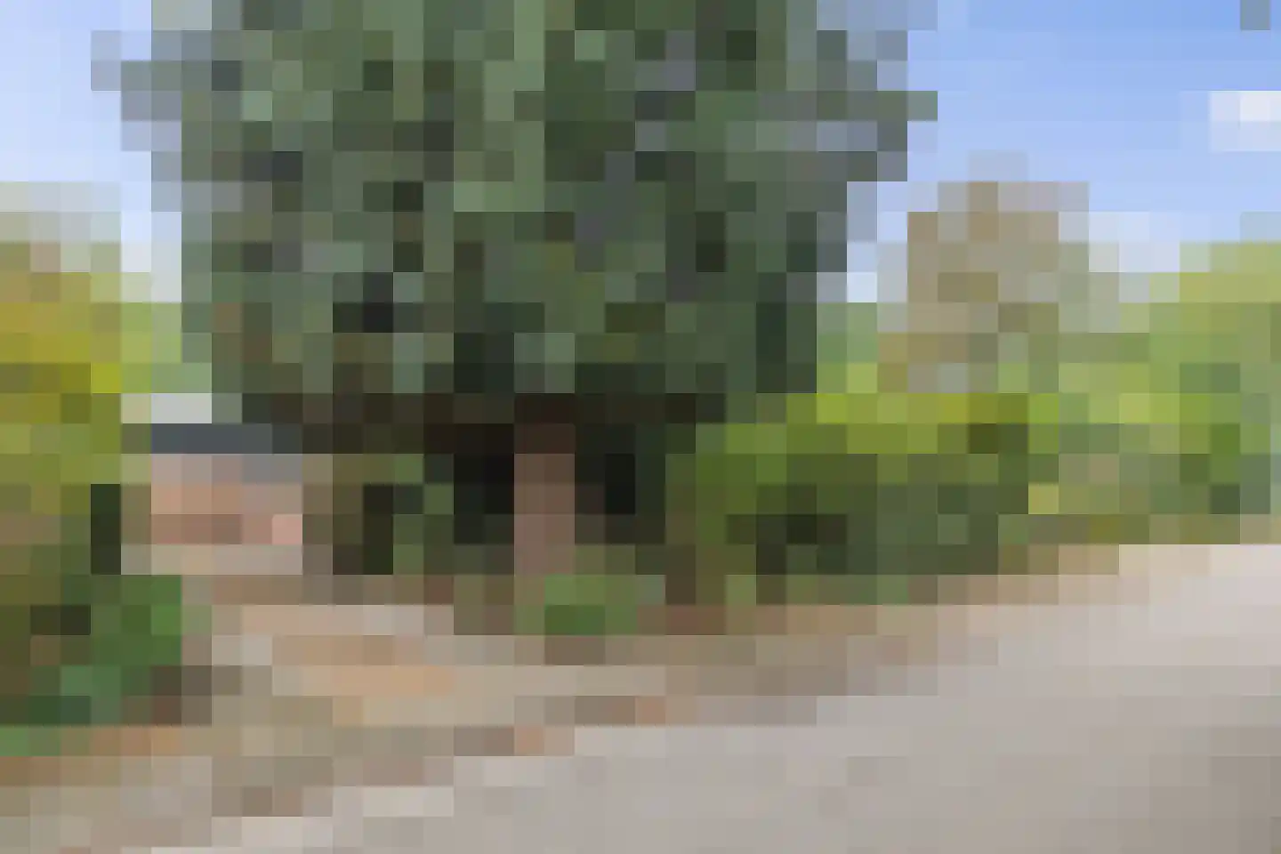 Slotstee 9 Emmen thumbnail 50