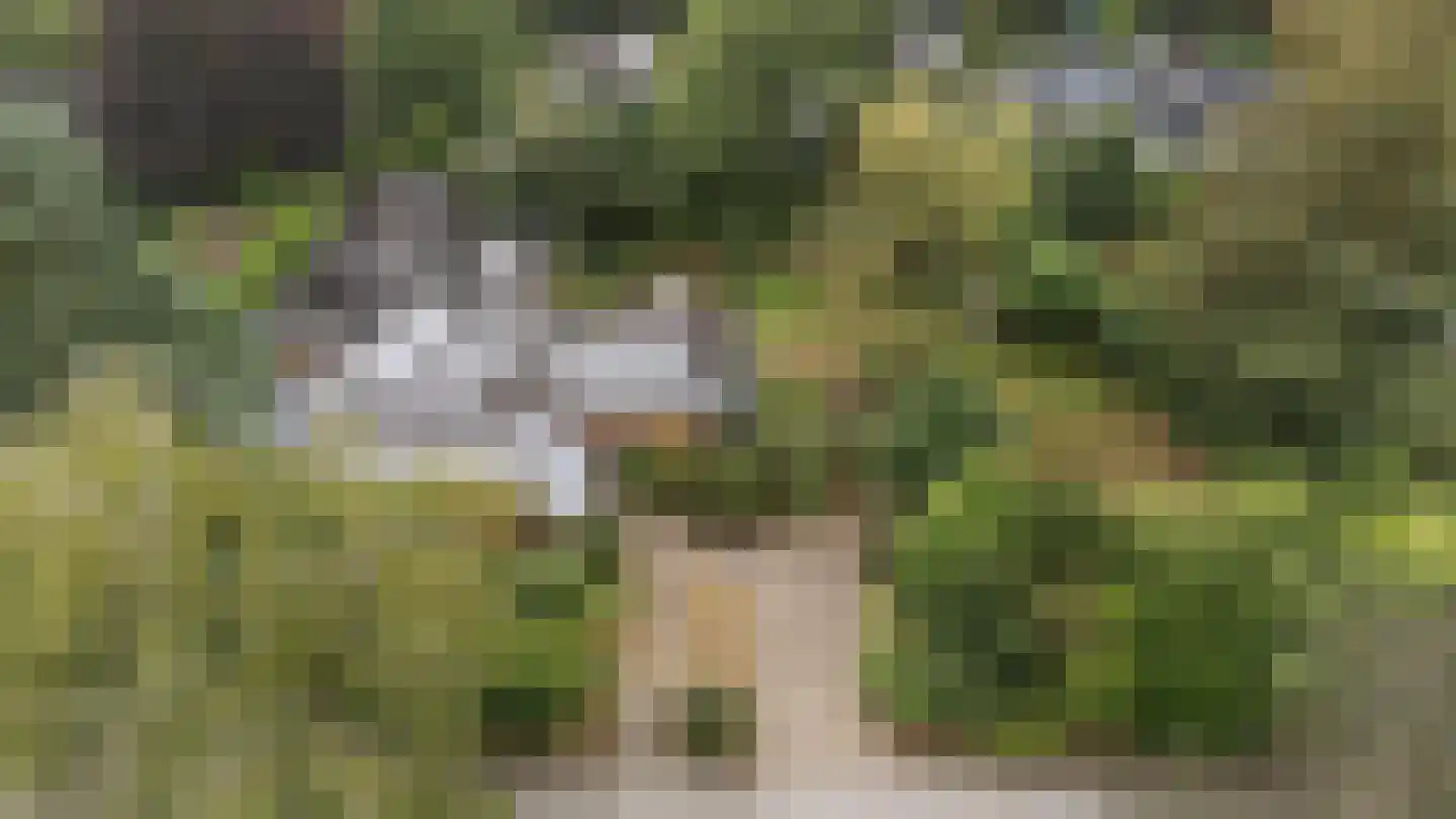 Slotstee 9 Emmen thumbnail 54