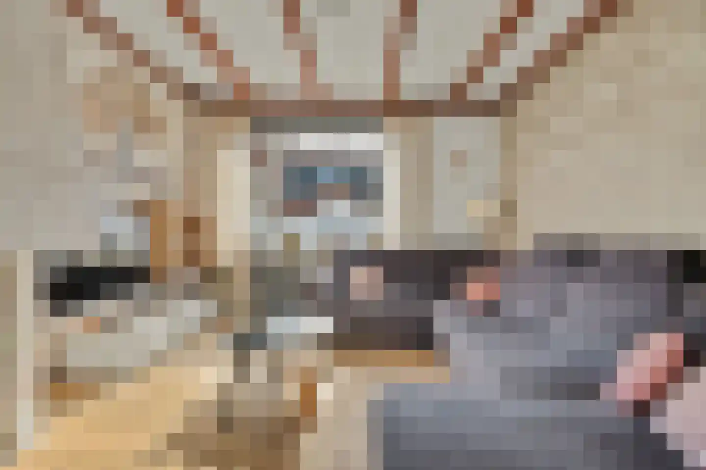 Slotstraat 1 Kruiningen thumbnail 10