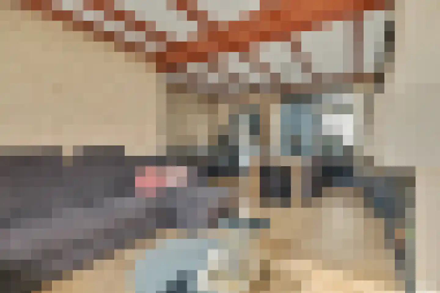 Slotstraat 1 Kruiningen thumbnail 12