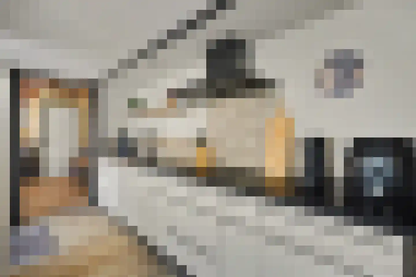 Slotstraat 1 Kruiningen thumbnail 17