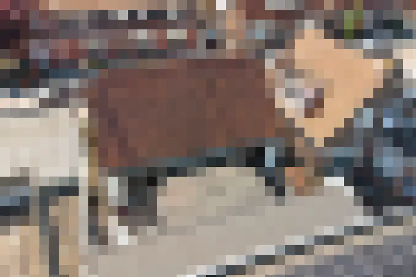 Slotstraat 1 Kruiningen thumbnail 46
