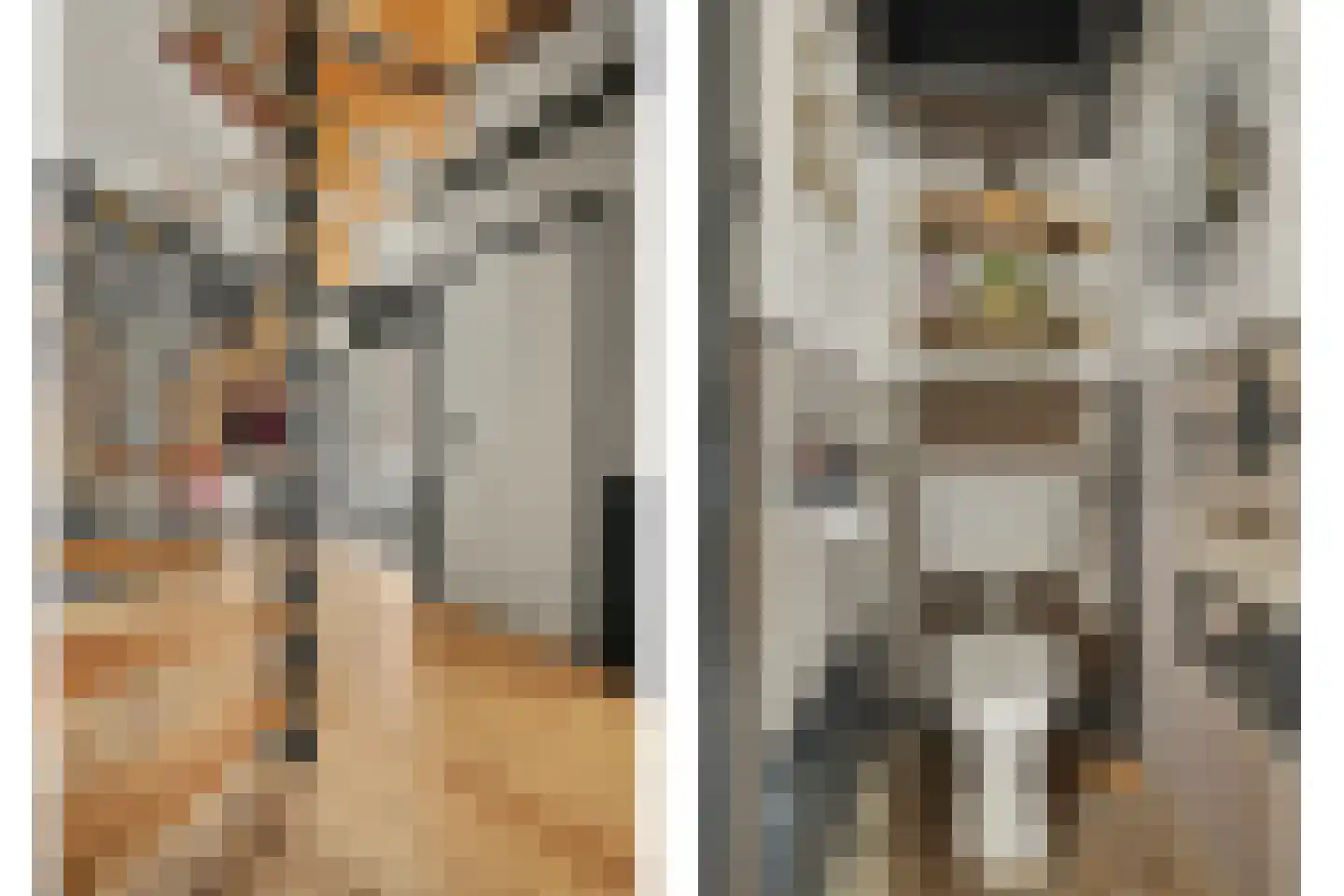 Slotstraat 1 Kruiningen thumbnail 7