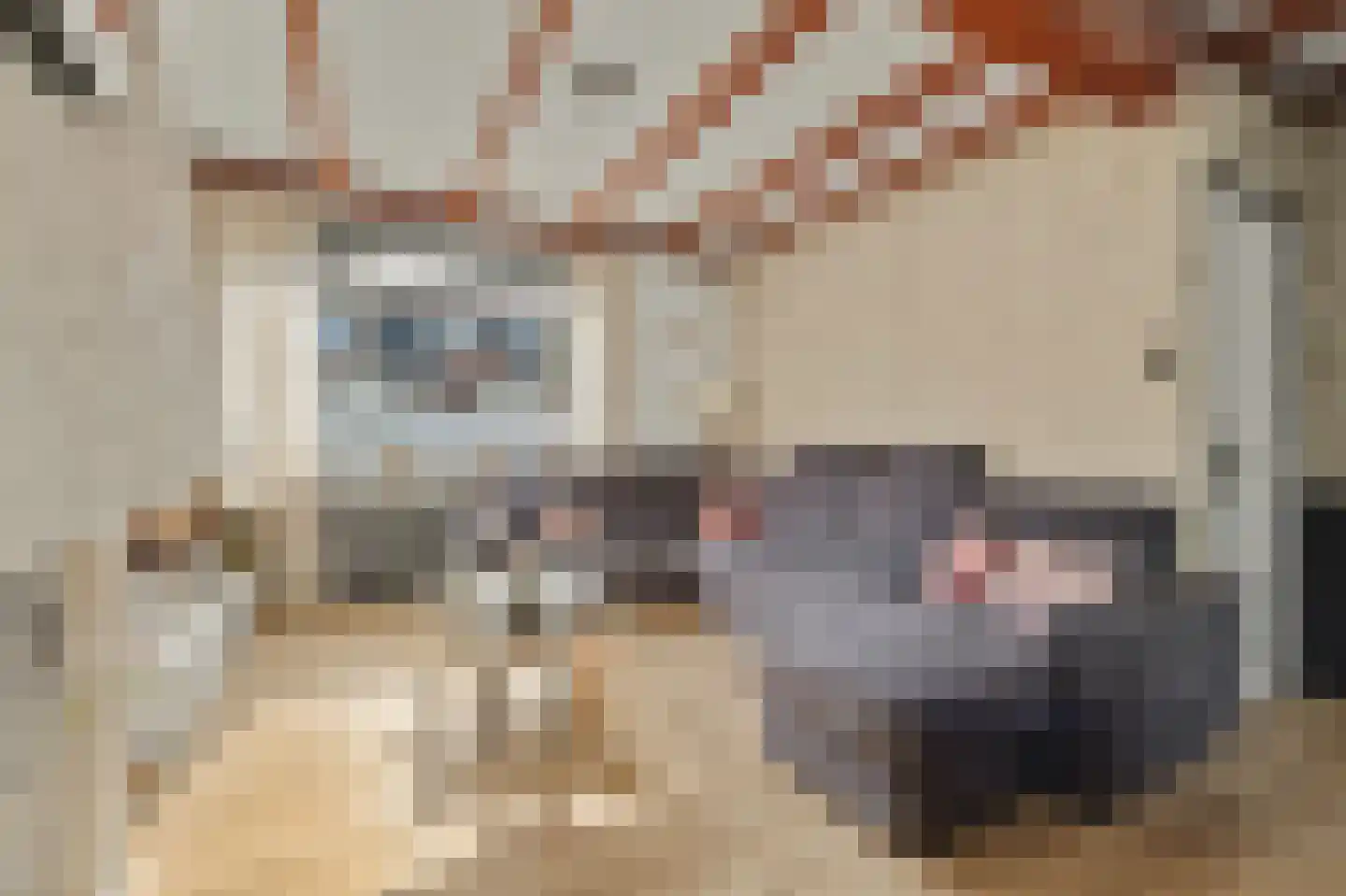 Slotstraat 1 Kruiningen thumbnail 9