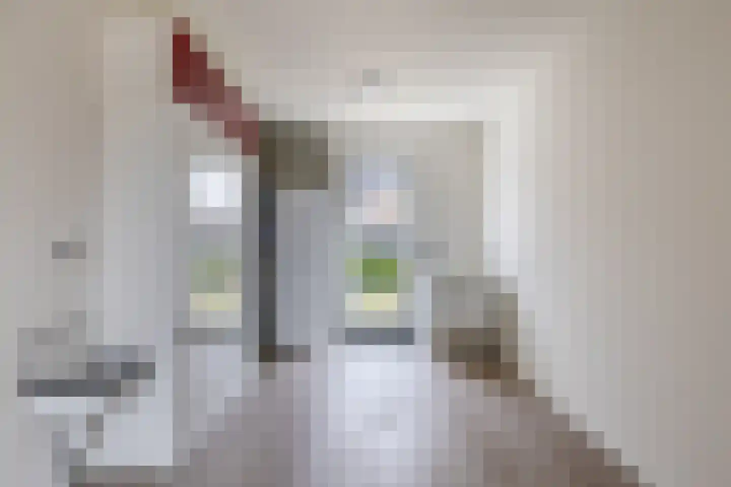Slotstraat 10 Julianadorp thumbnail 22