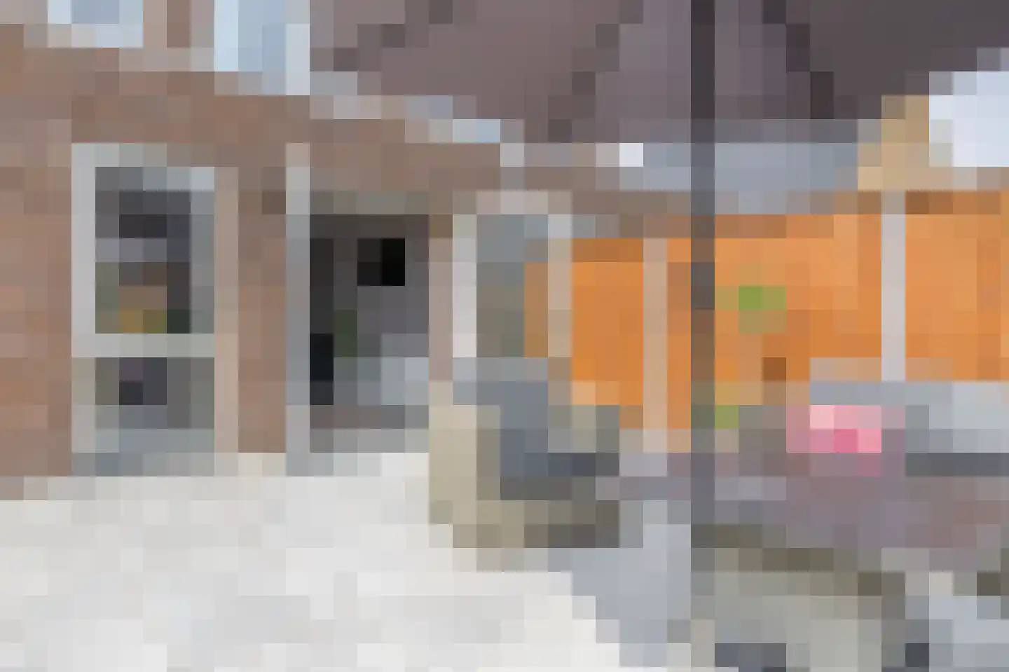 Slotstraat 10 Julianadorp thumbnail 24