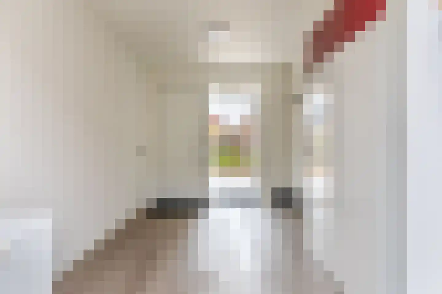 Slotstraat 10 Julianadorp thumbnail 7