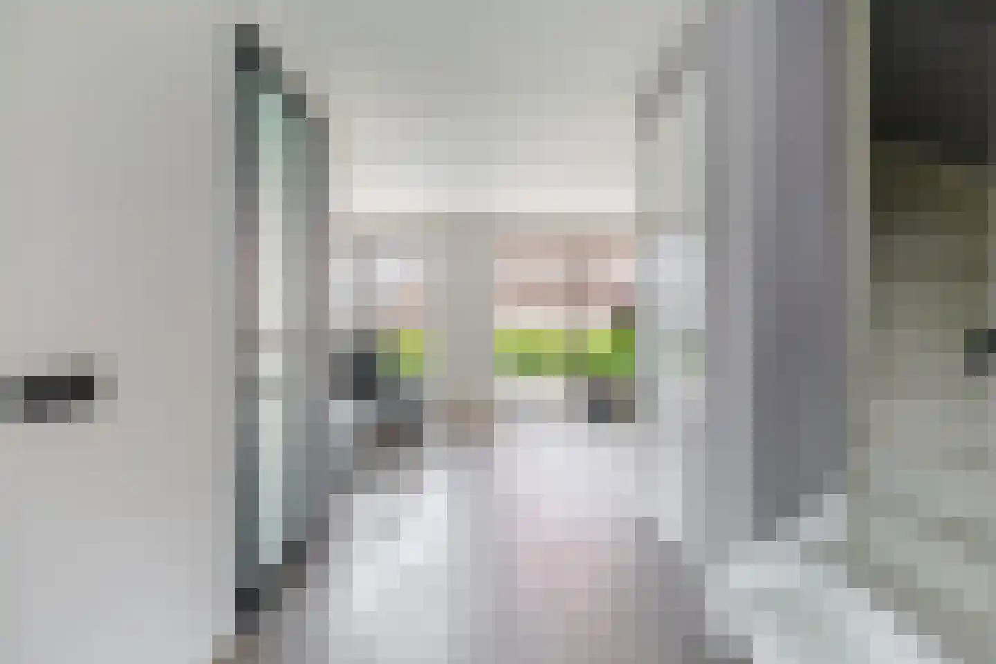 Slotstraat 10 Julianadorp thumbnail 9