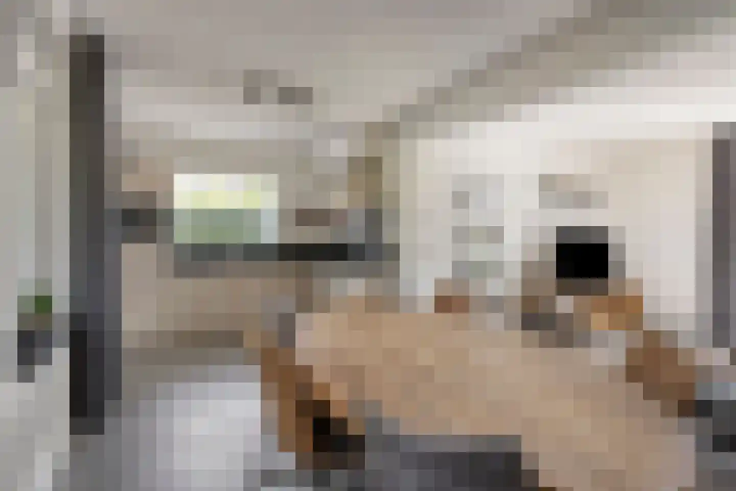 Slotstraat 12 Beek en Donk thumbnail 13