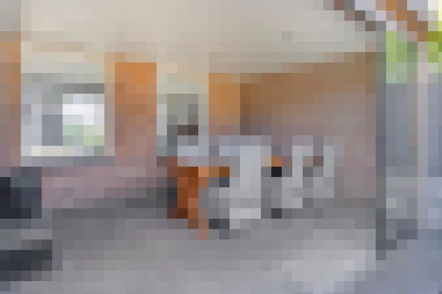 Slotstraat 12 Beek en Donk thumbnail 20