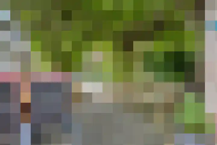 Slotstraat 13 Beek en Donk thumbnail 14