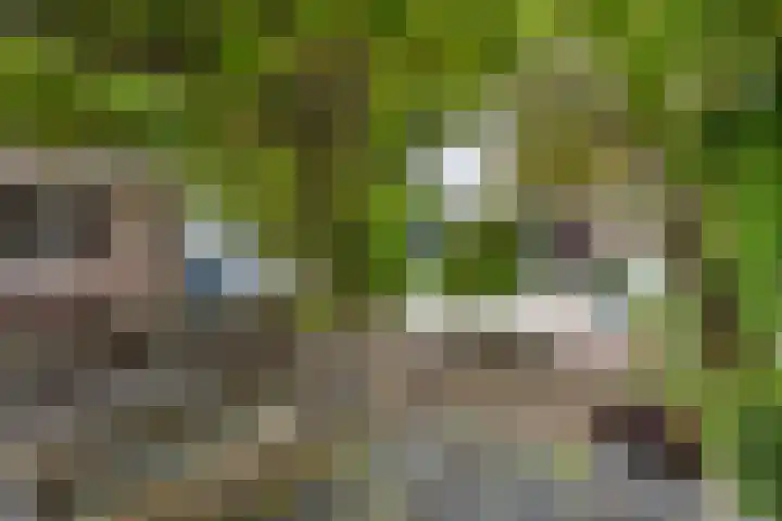 Slotstraat 13 Beek en Donk thumbnail 15