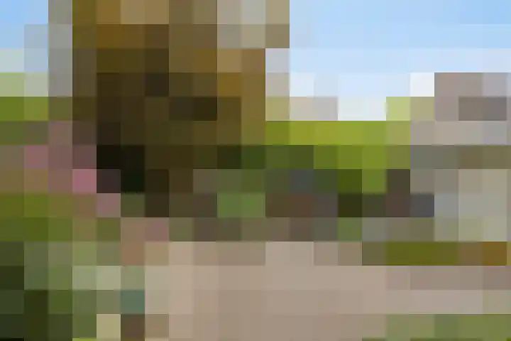Slotstraat 13 Beek en Donk thumbnail 16