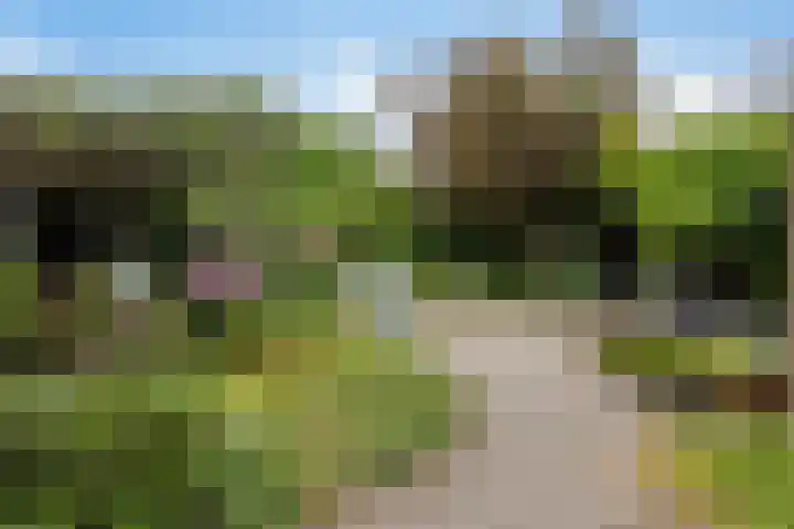 Slotstraat 13 Beek en Donk thumbnail 19