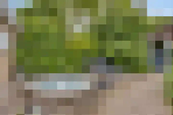 Slotstraat 13 Beek en Donk thumbnail 20