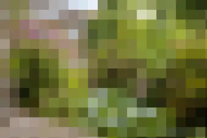 Slotstraat 13 Beek en Donk thumbnail 21