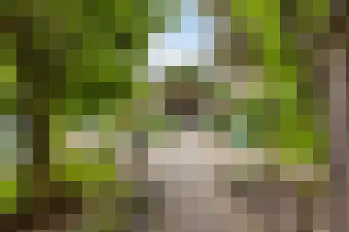 Slotstraat 13 Beek en Donk thumbnail 23