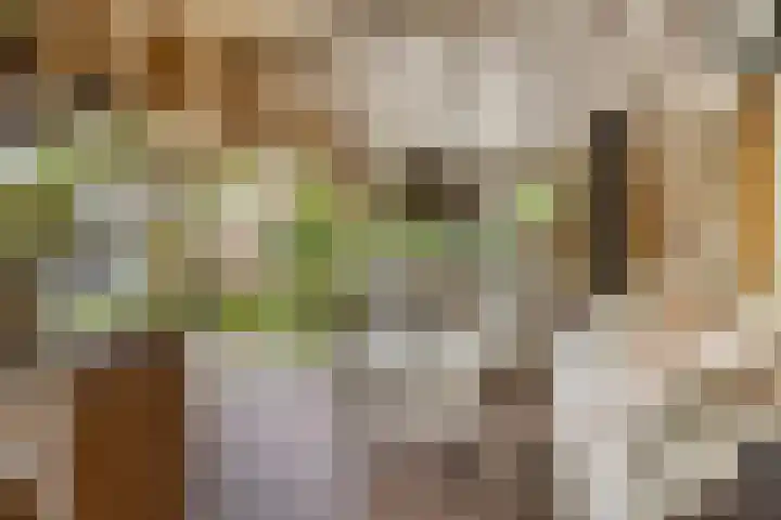 Slotstraat 13 Beek en Donk thumbnail 24